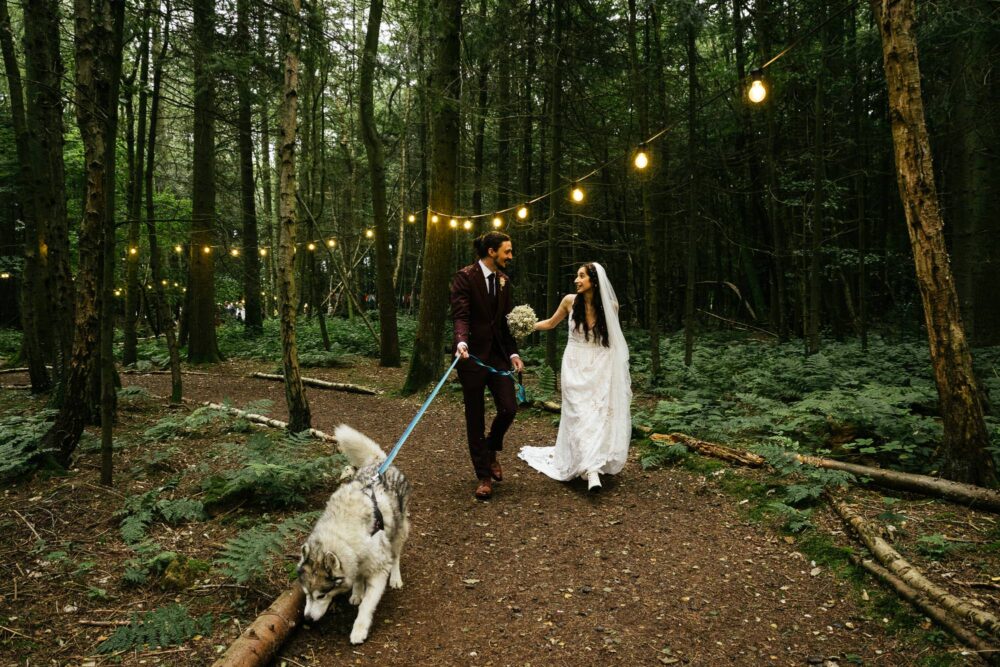 Longton Wood - image 4