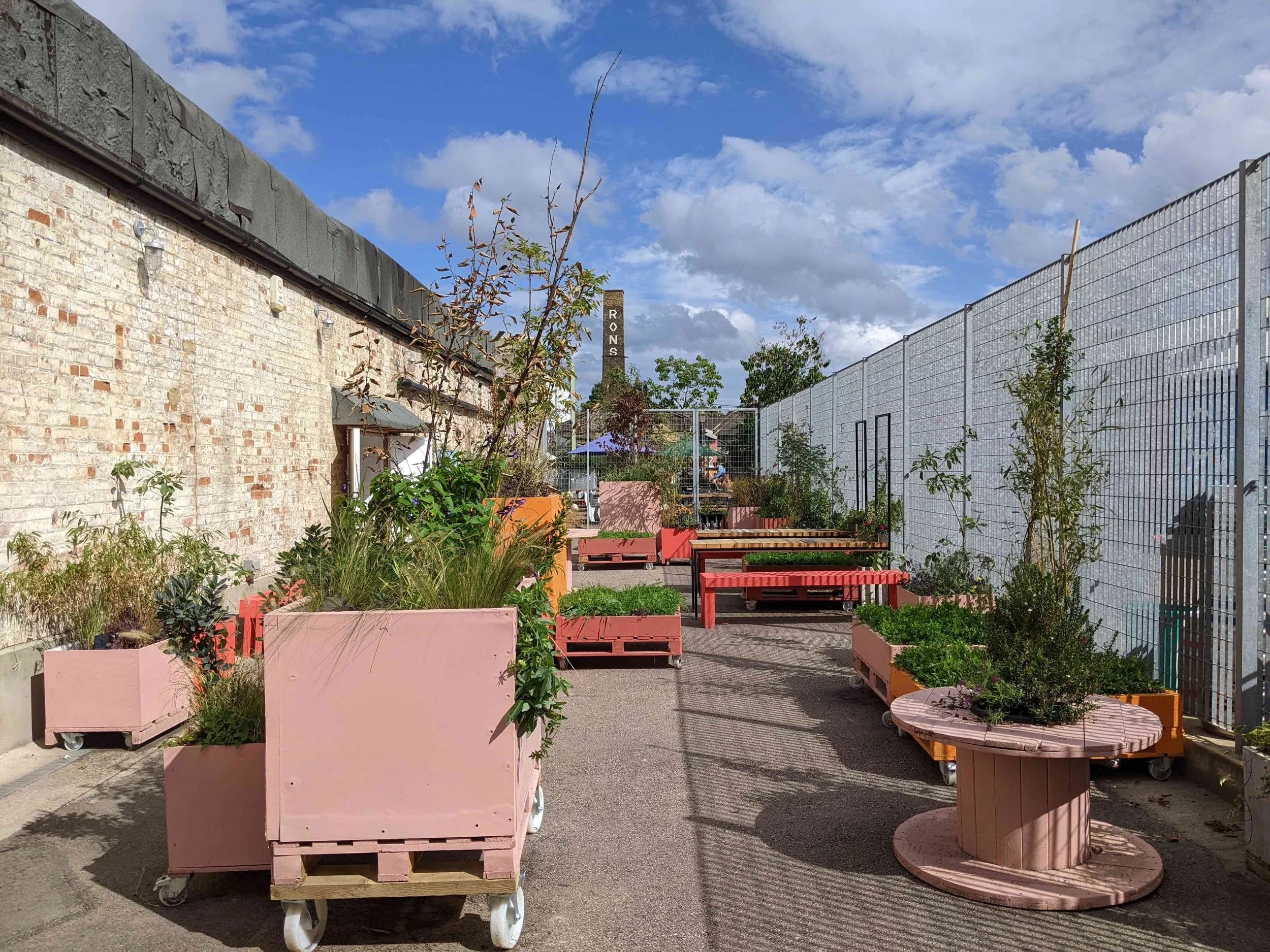 Peckham Arches - image 2
