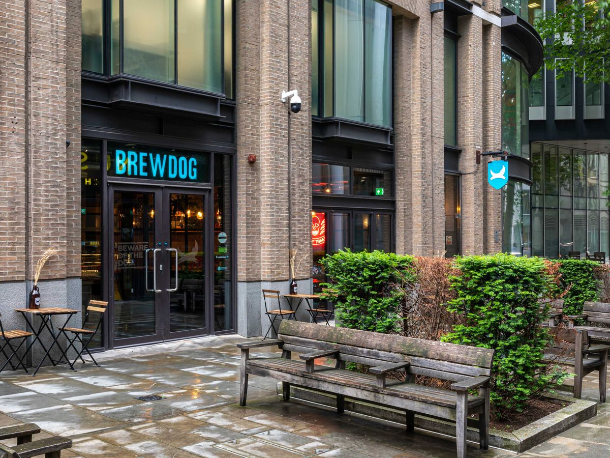 BrewDog Angel - image 2