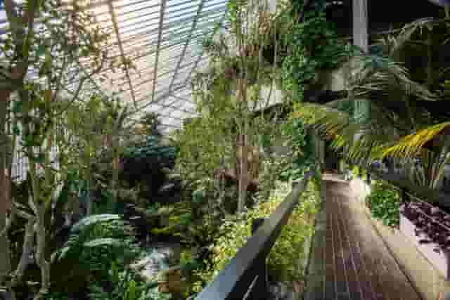 Barbican Conservatory