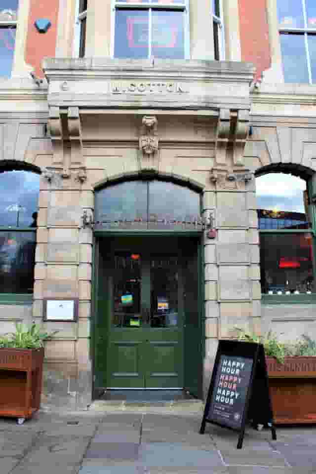 The Blind Rabbit