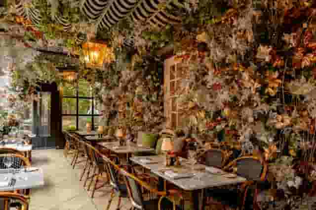 Dalloway Terrace