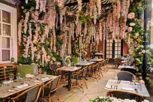 Dalloway Terrace