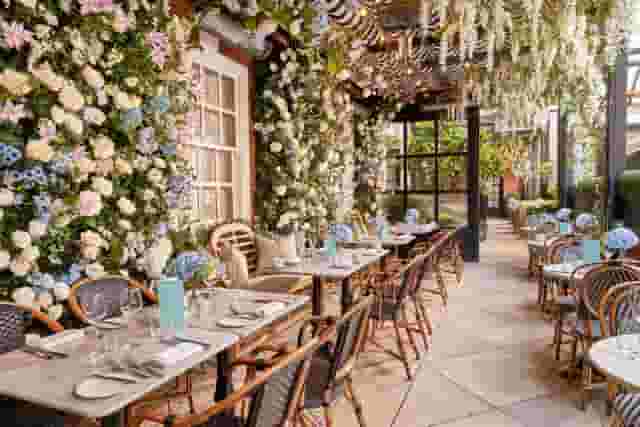 Dalloway Terrace