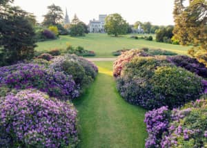 Ashridge House, Hertfordshire - image 7