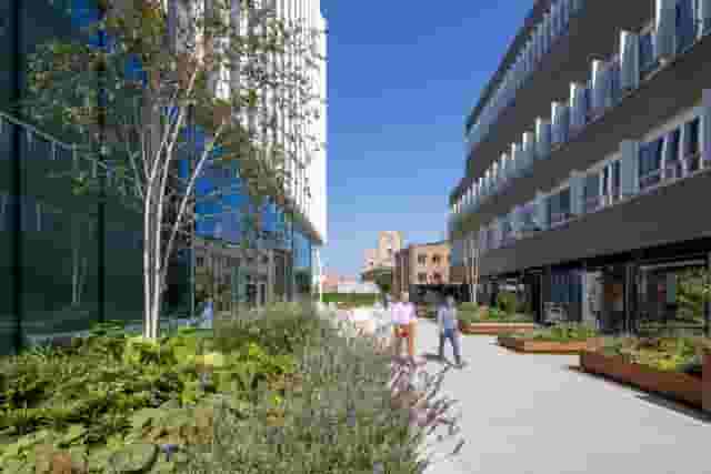 Public Realm