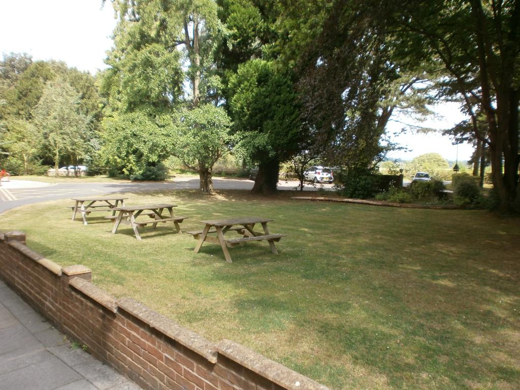 Spacious outdoor gathering area with picnic tables in The Richardson Room, perfect for events.