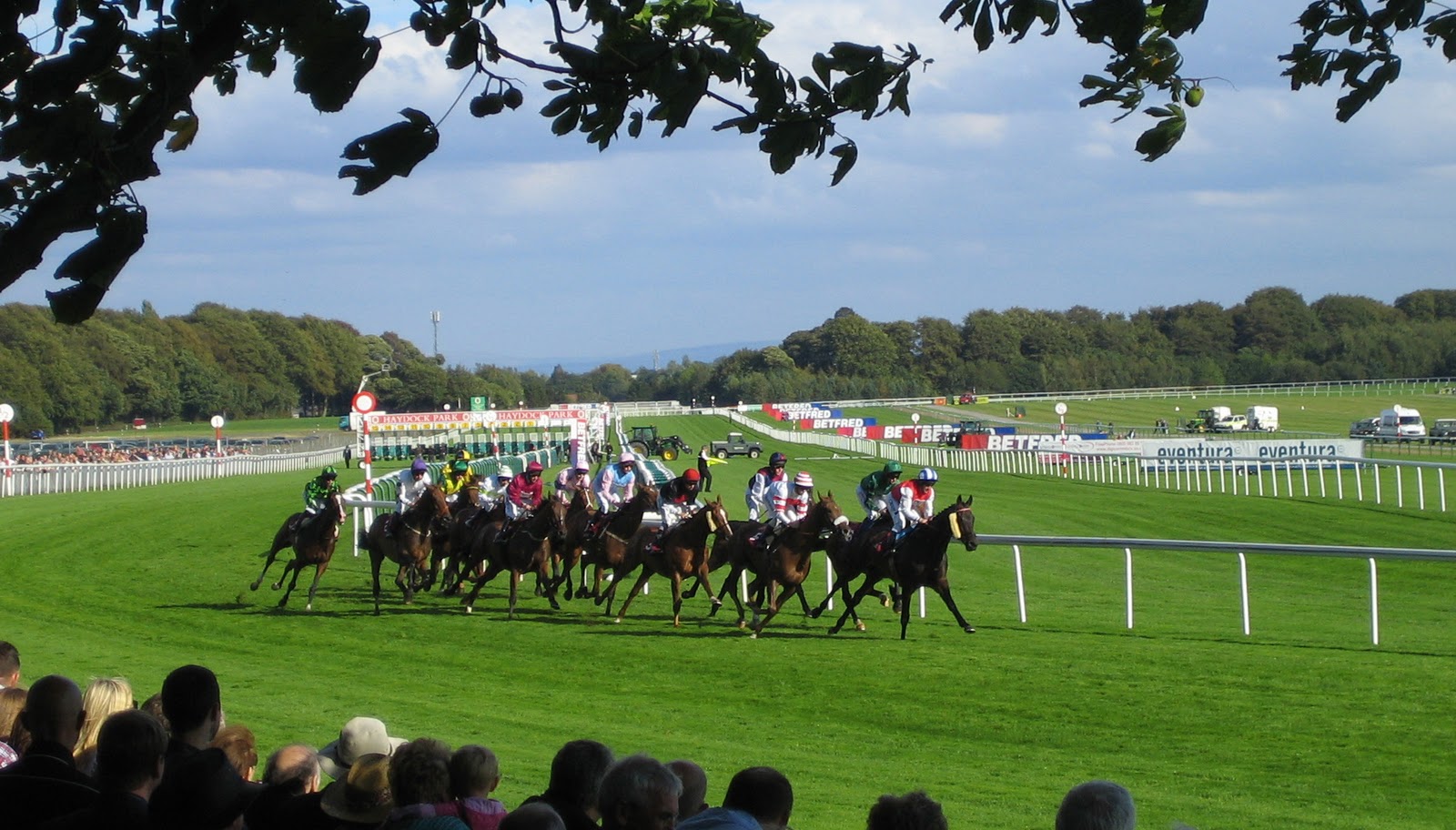 Jubilee suite at Haydock Park Racecourse during a vibrant horse racing event.