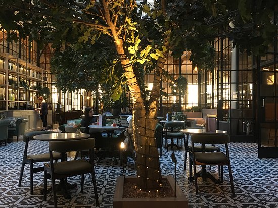 Winter Garden at Kimpton Clocktower Hotel with a lit tree, perfect for events and gatherings.