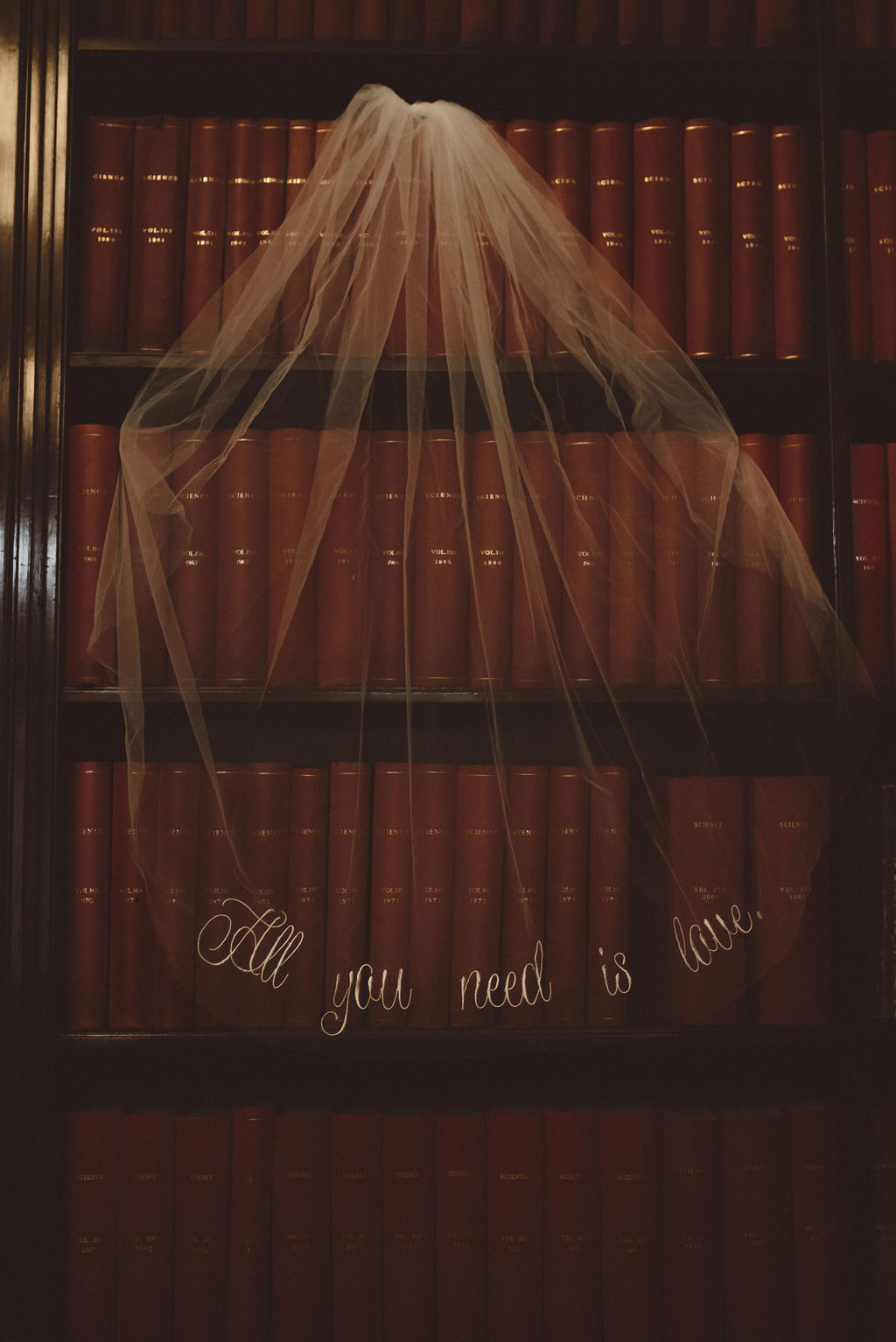 Weddings  - apze2wyzsli.jpg