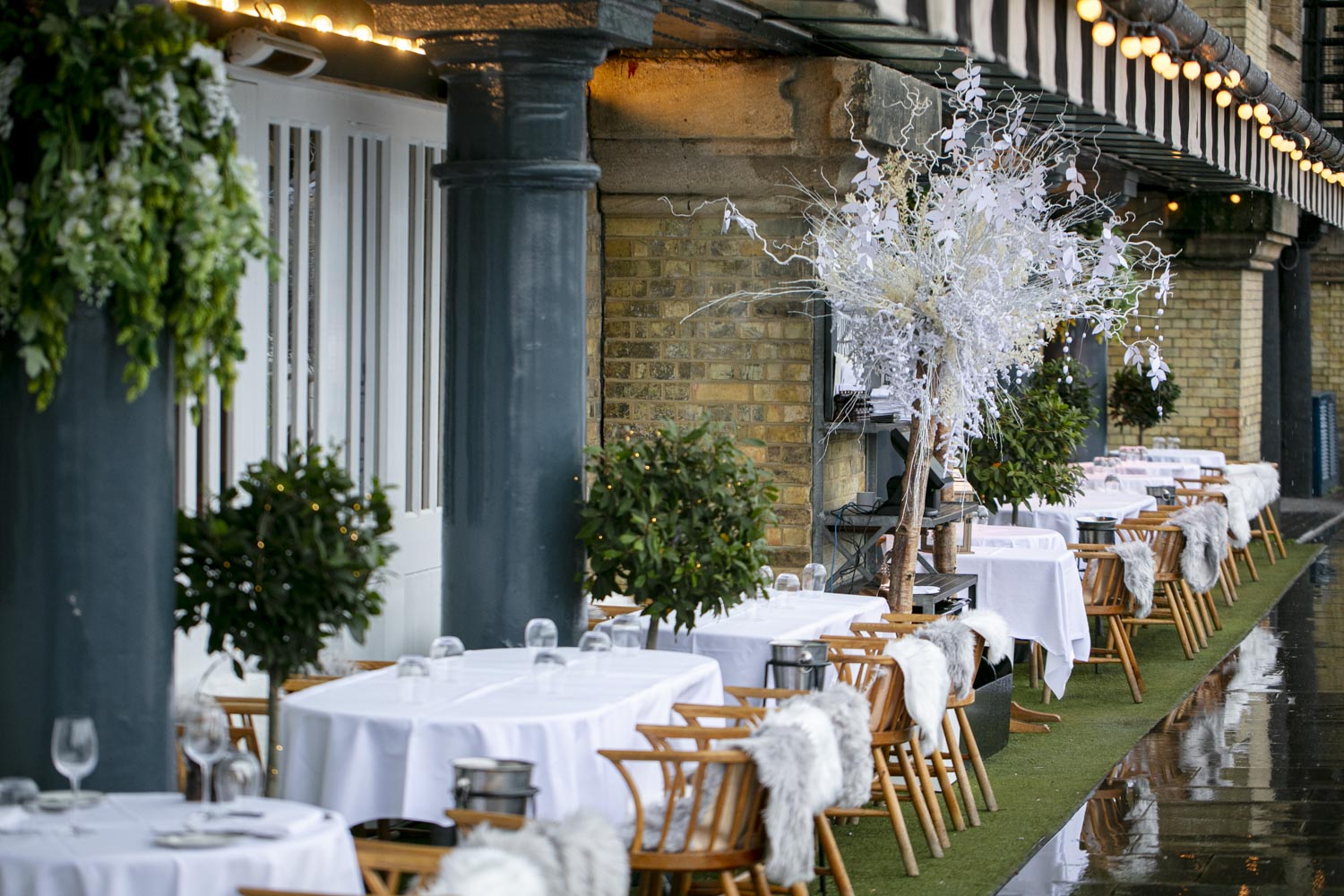 Terrace - hpt4pot2ys1.jpg