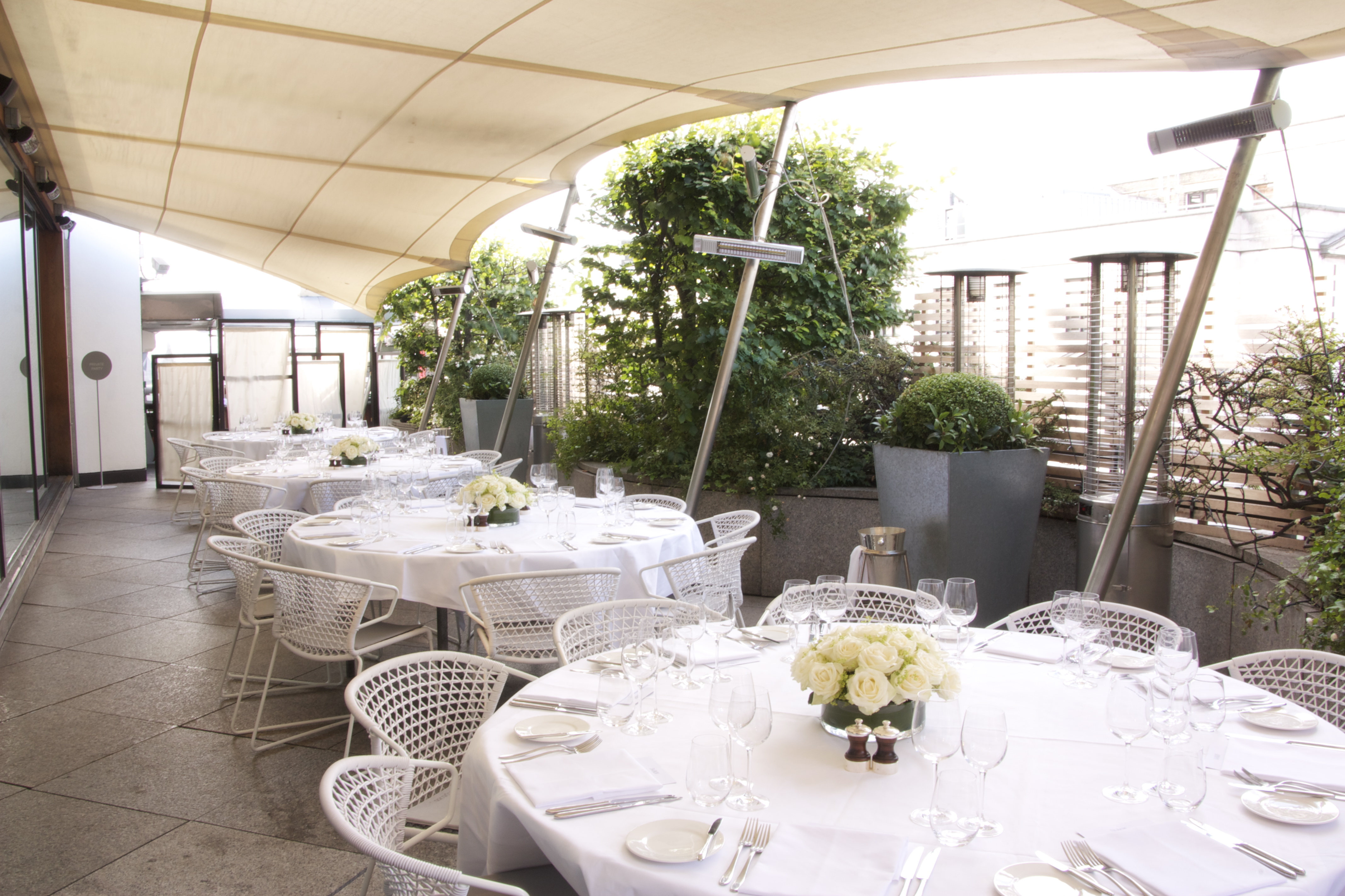 Bar Terrace  - i20dgn4ijug.jpg