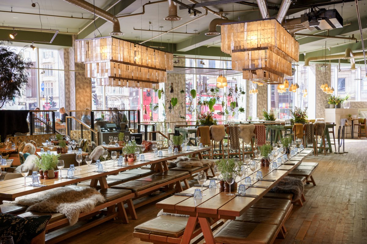 Private Room - sqd3k5ahrxx.jpeg