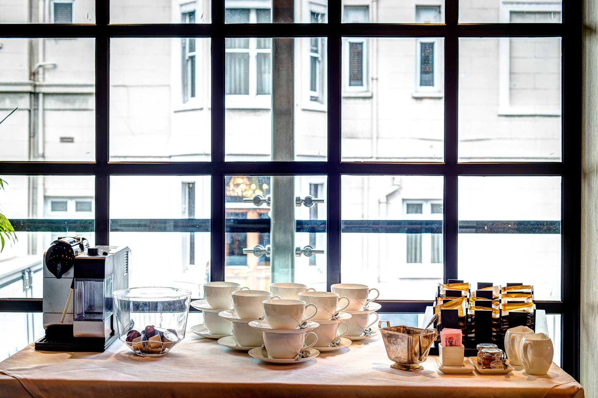 The Muse - aemaqrzhnro.jpg