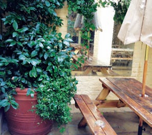 Banksy Beer Garden at The Princess of Wales Pub with lush greenery and picnic table