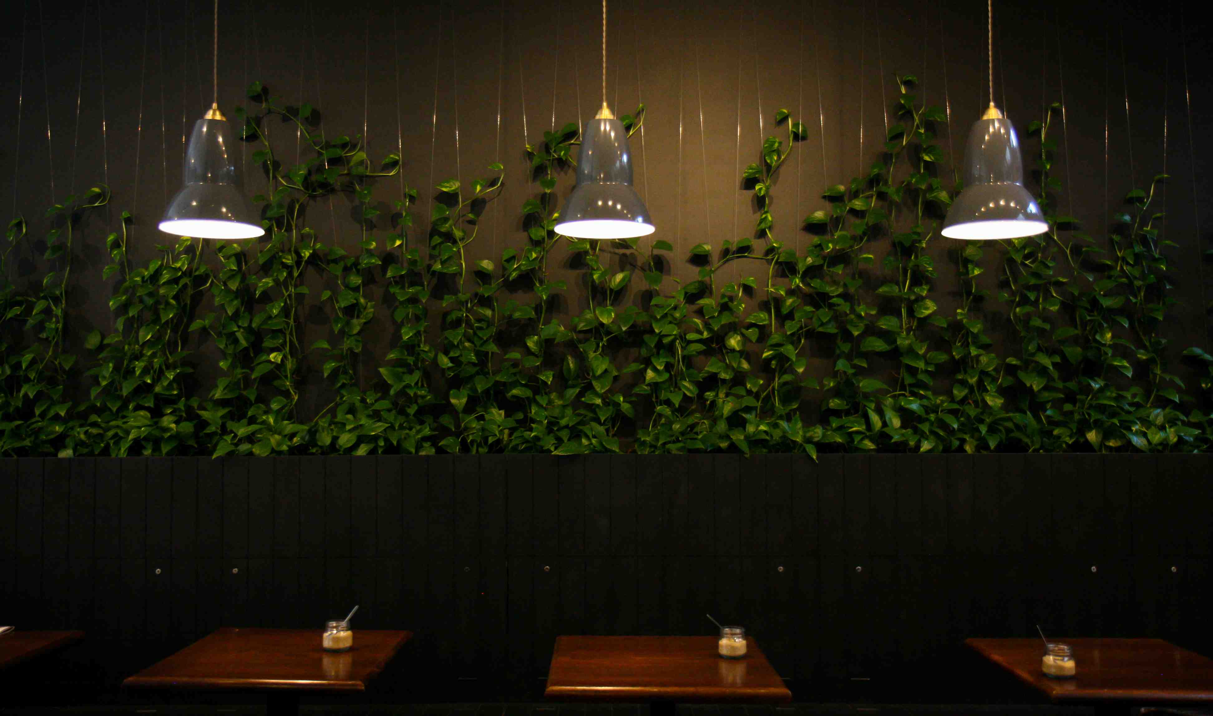 Whole Venue - obed1woigt5.jpg