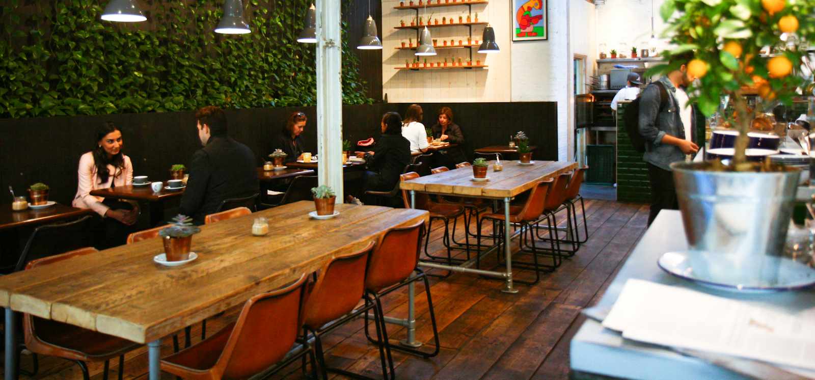 Whole Venue - qqqsnwnjkd5.jpg