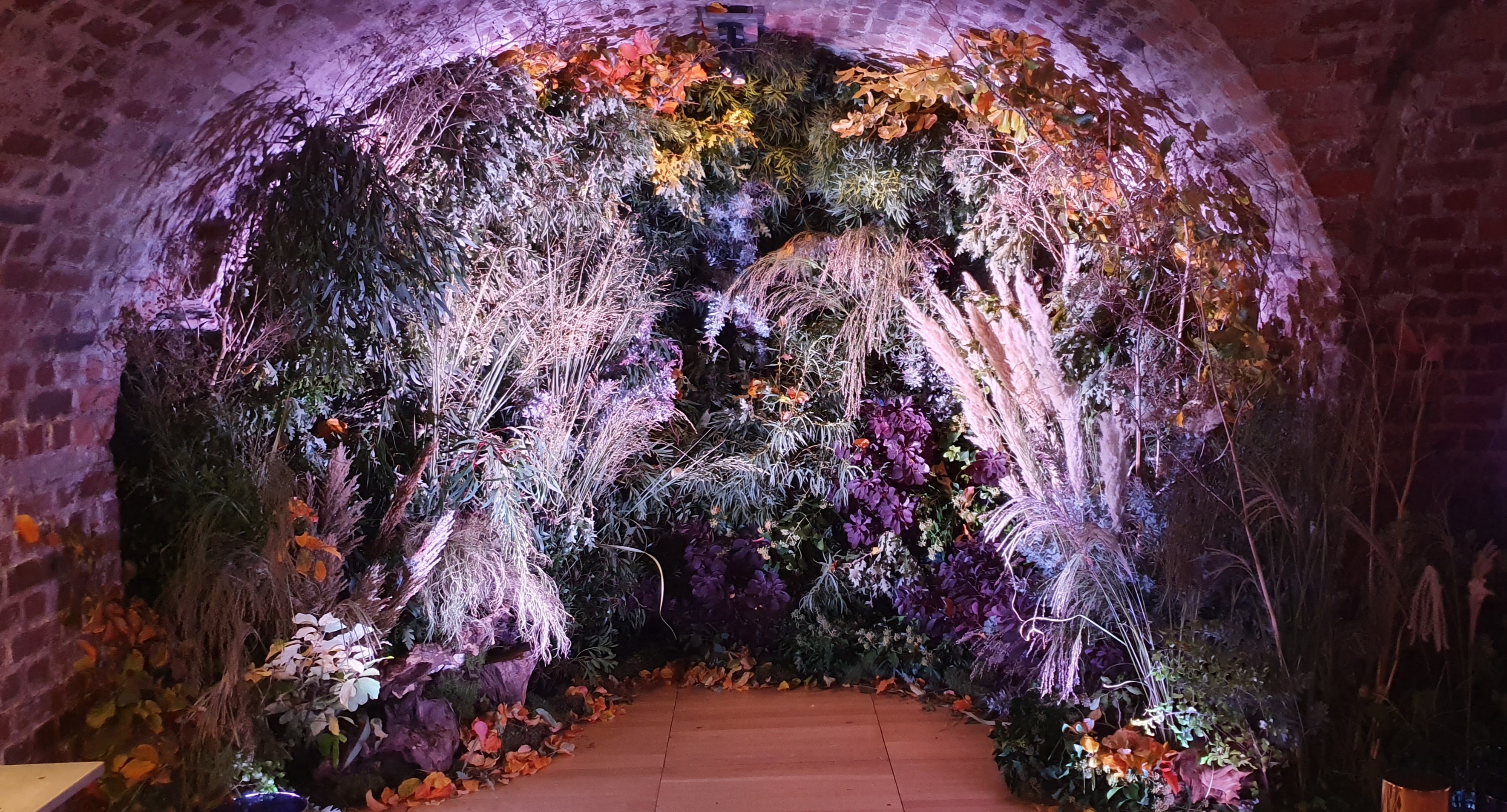 The Vaults - pde4zmf2o05.jpg