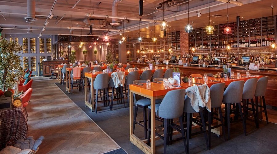 The Anthologist - image 1