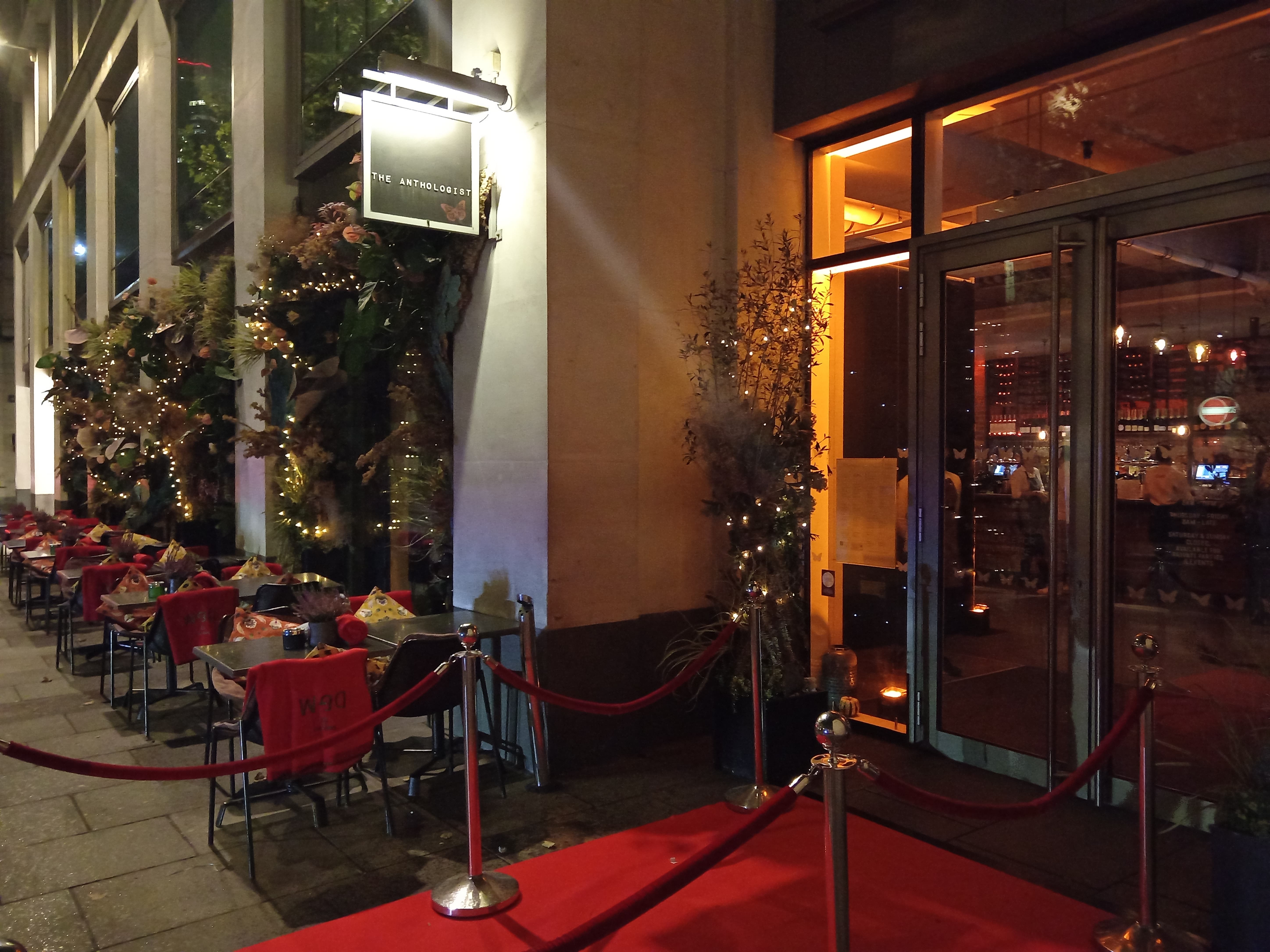The Anthologist - image 4