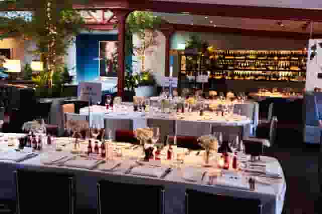 Bluebird Chelsea