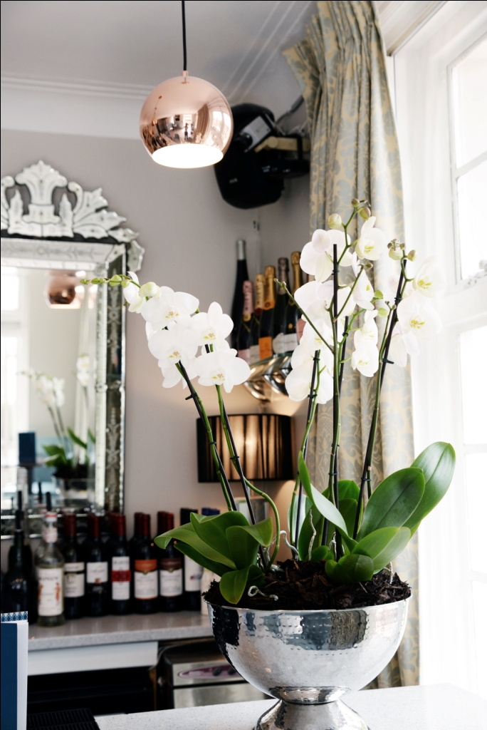 The Terrace Room - ro0jtkamrke.jpg