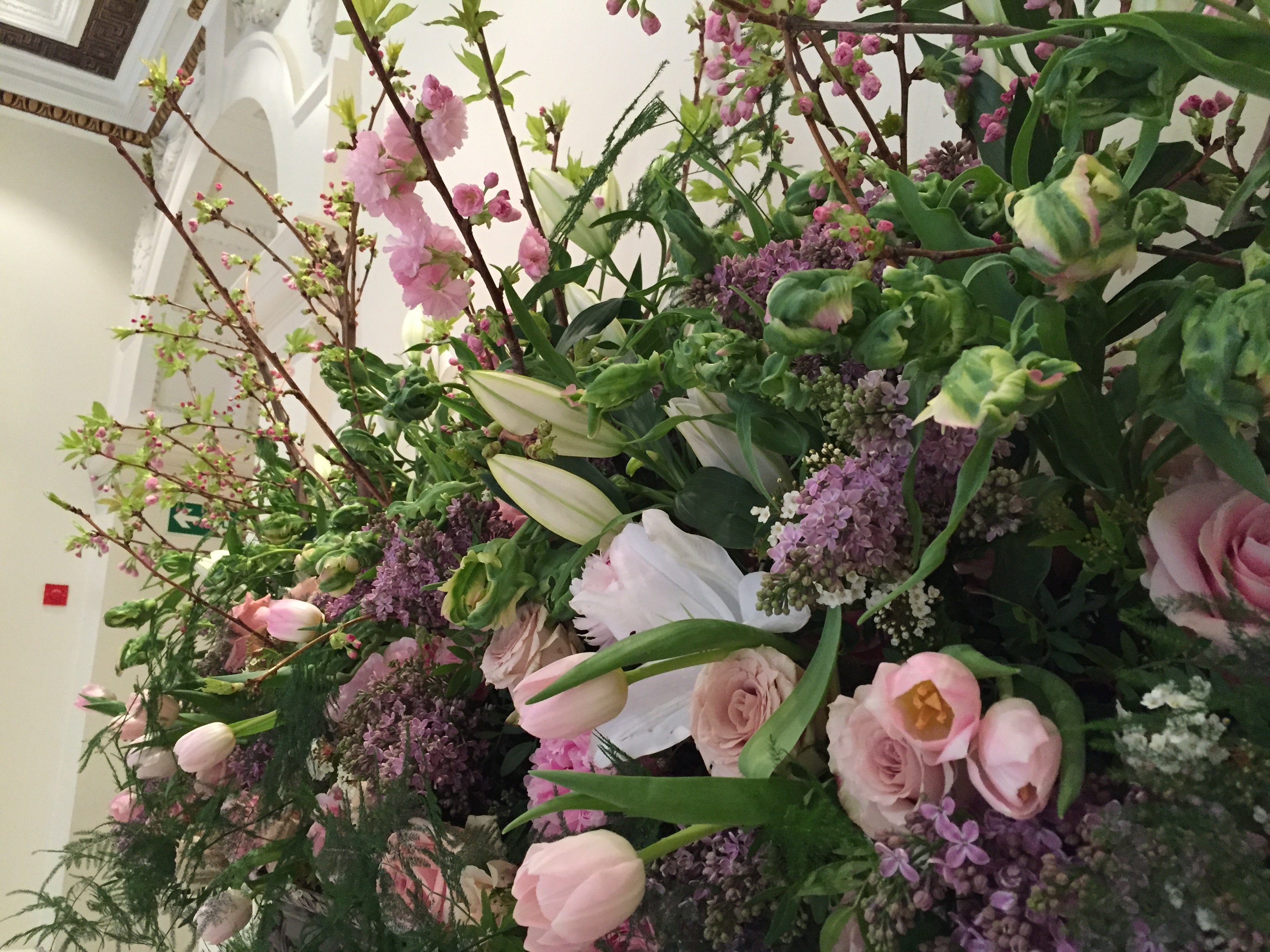 North Sanctuary - rvlkslws5mn.JPG