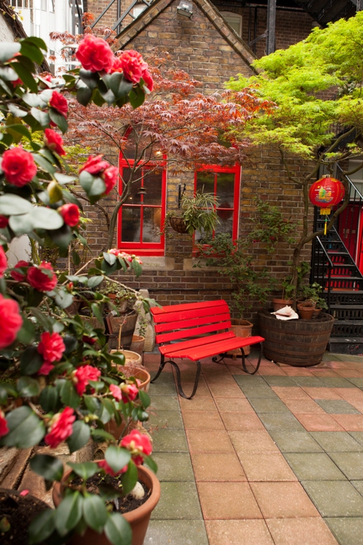 Gallery, Courtyard & Kitchen - hcyy344mt5d.jpg