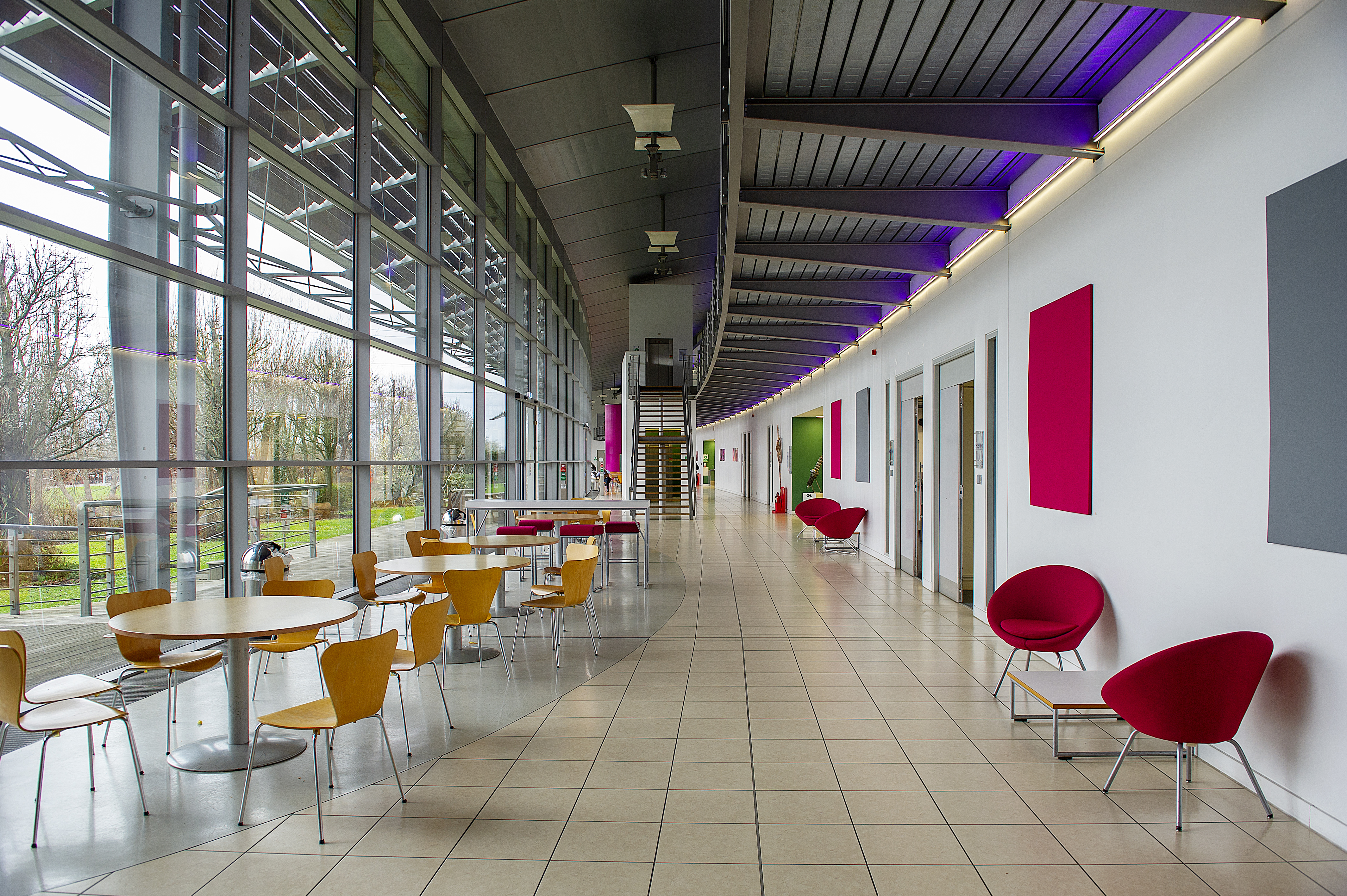 The Boardroom - y4zcu3ldenb.jpg