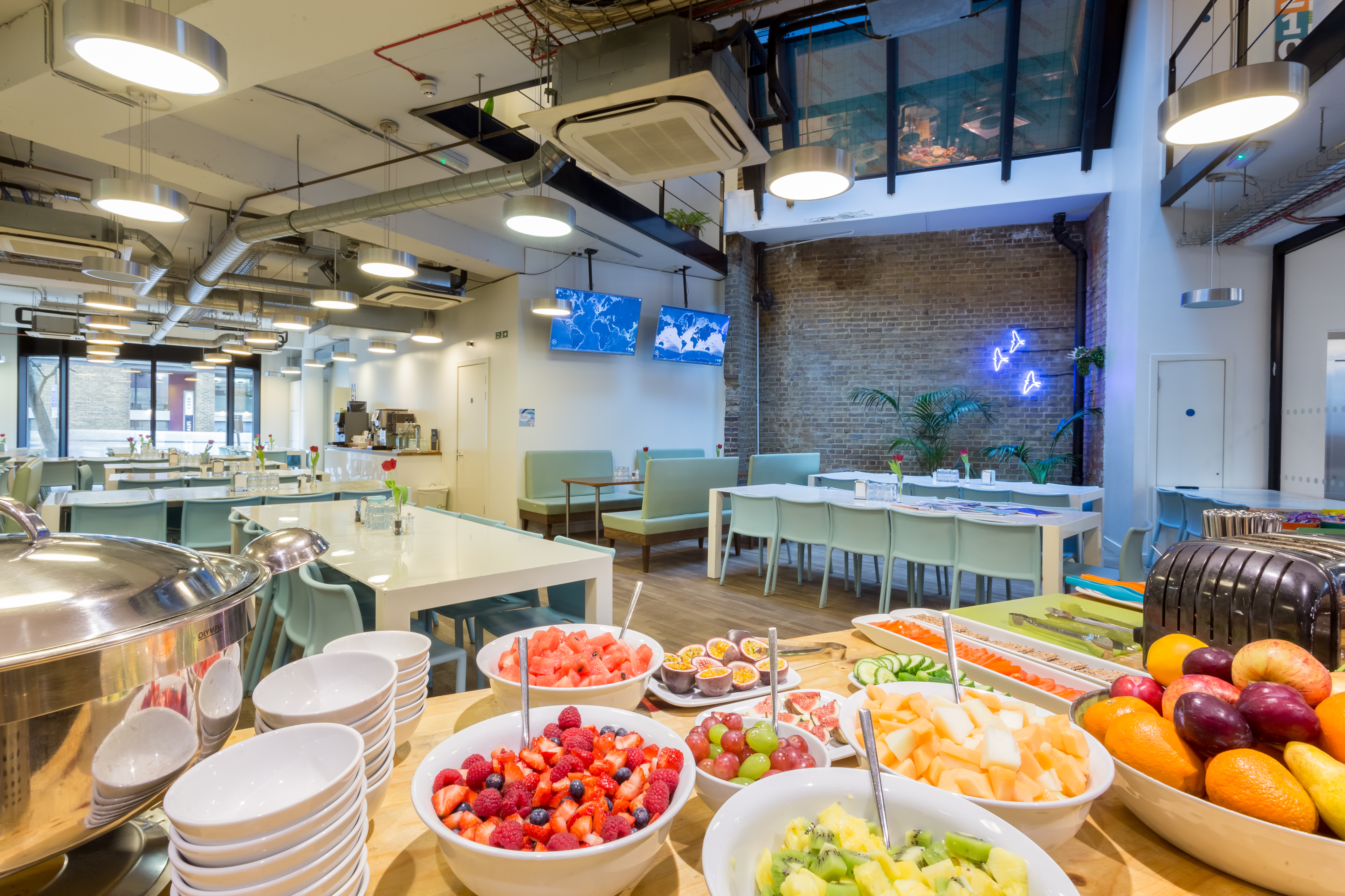 Ginger - 3qetinyfipz.jpg