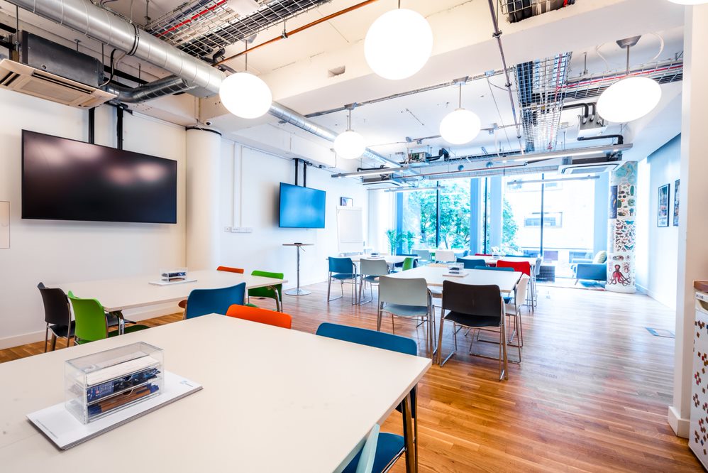 Ginger - mvfs3szbssg.jpg