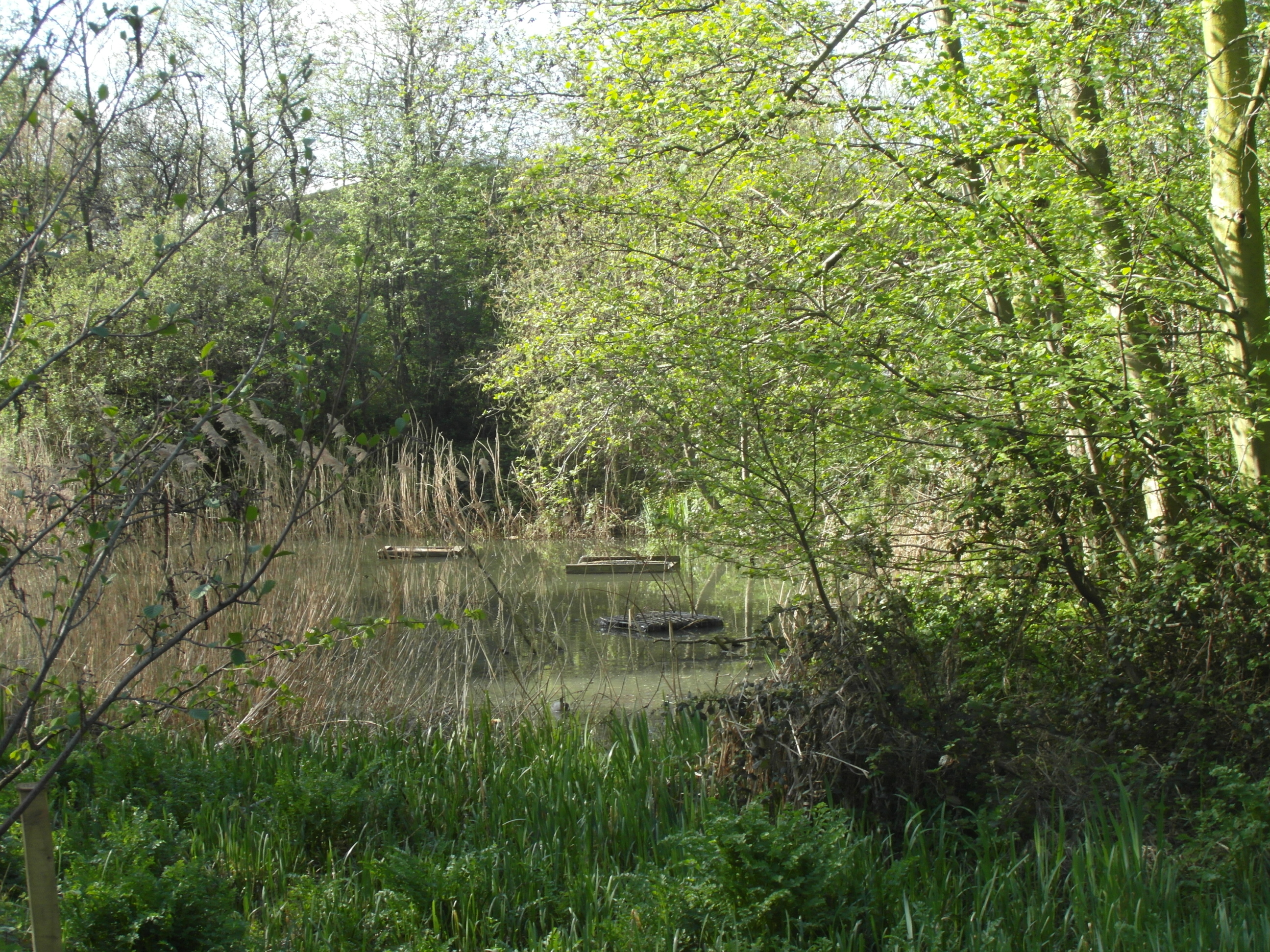 Outdoor kitchen in Camley Street Park, ideal for events and team-building retreats.