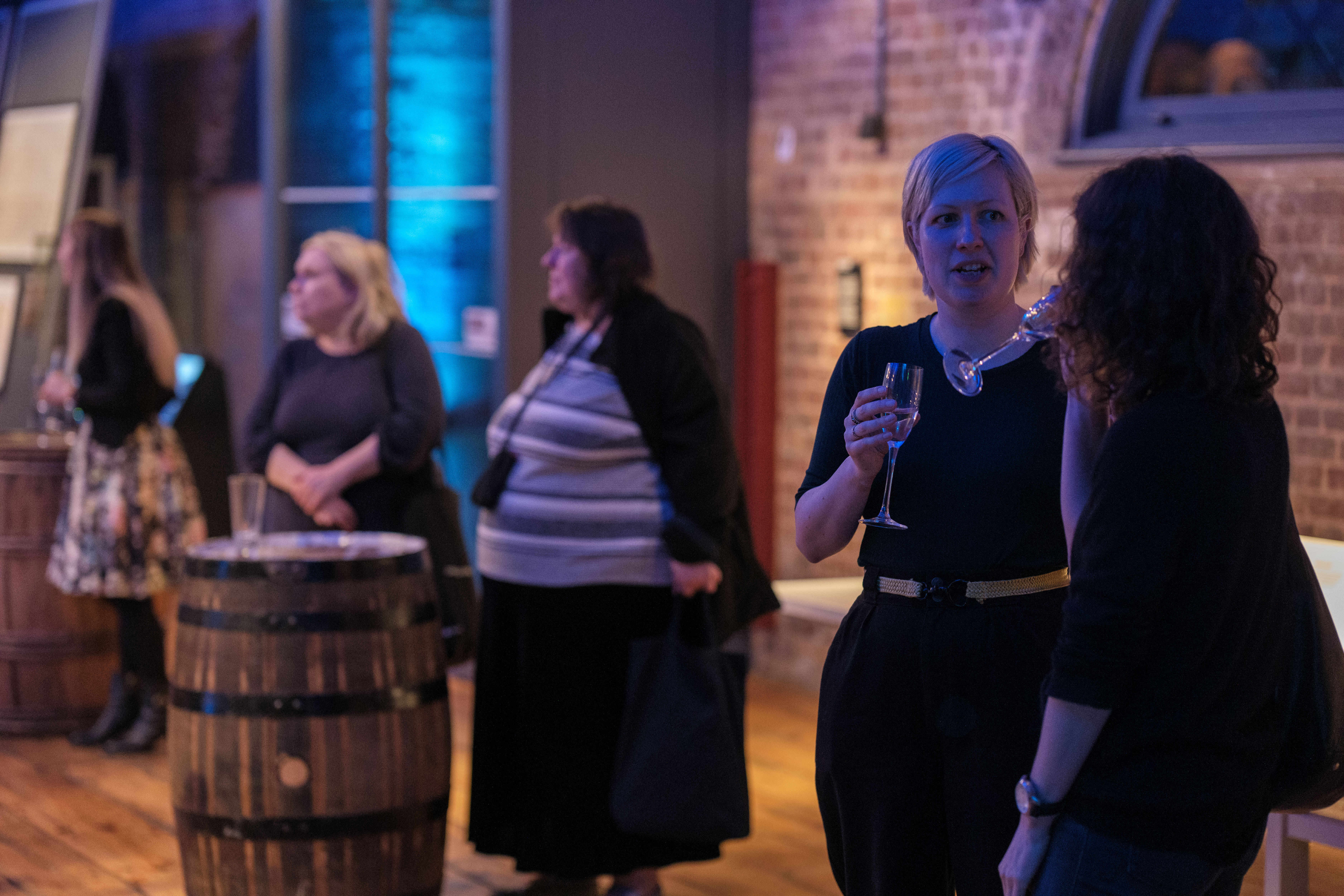 Galleries - 4bcamsdwf5b.jpg