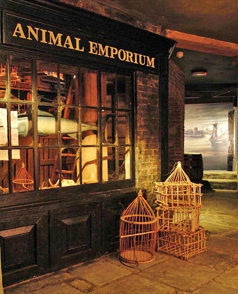 Sailortown Gallery - Sailortown - animal emporium nice.JPG