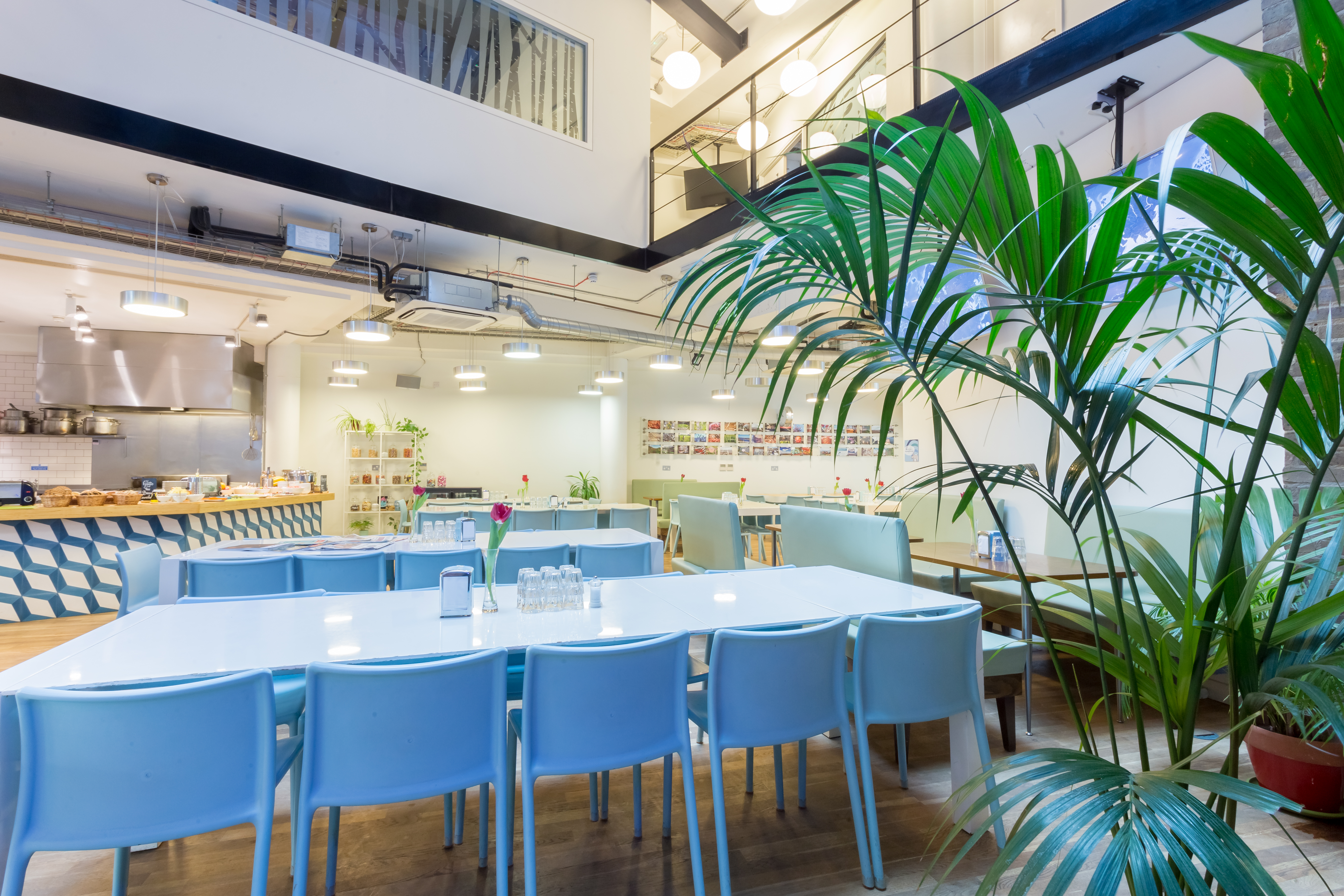 Silk + Cotton - peqouoiblrm.jpg