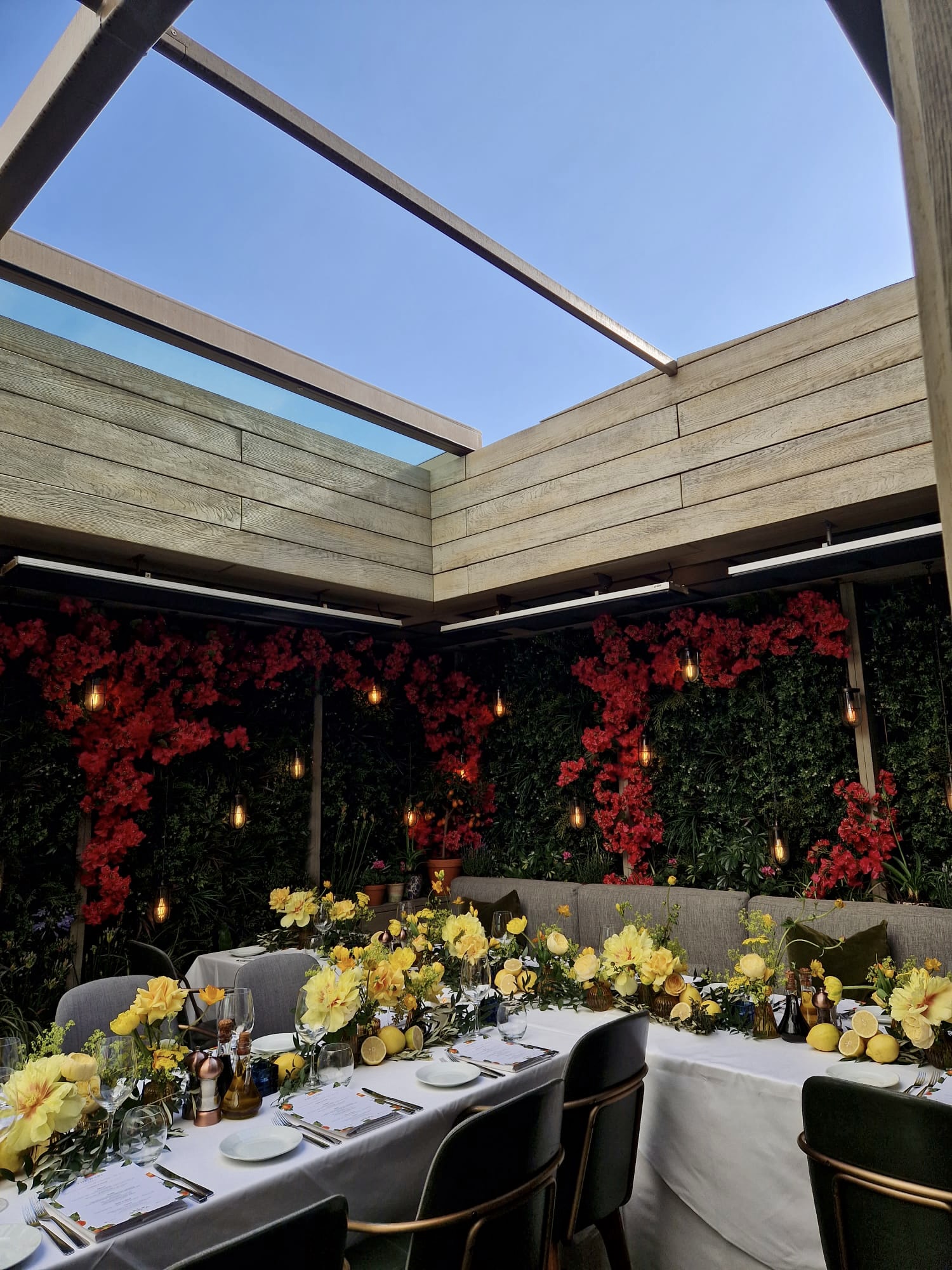 The Garden Terrace - zcjgfh1pibo.JPG