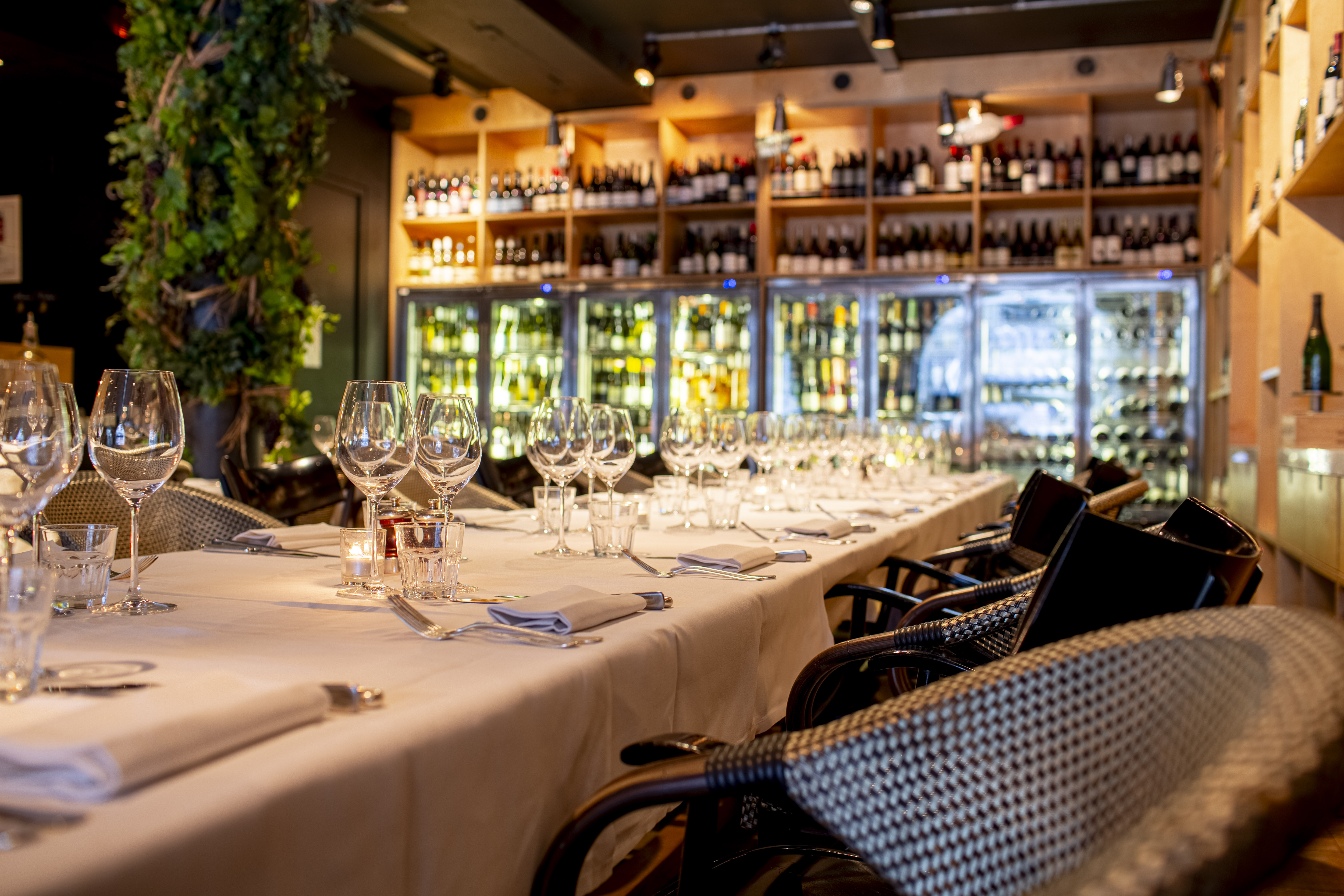 Whole Venue  - tjwdlimc4fm.jpg