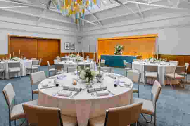 Bluebird Chelsea