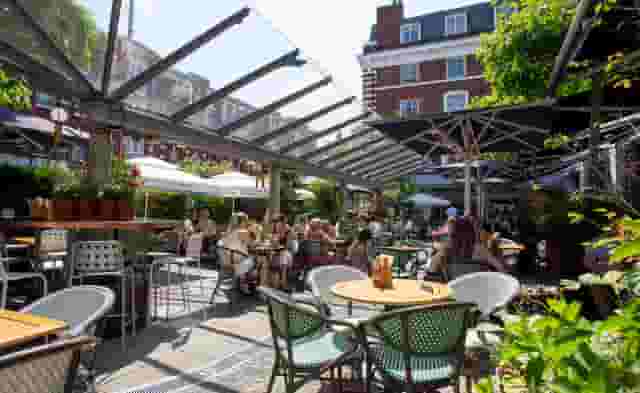 Bluebird Chelsea