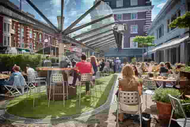 Bluebird Chelsea