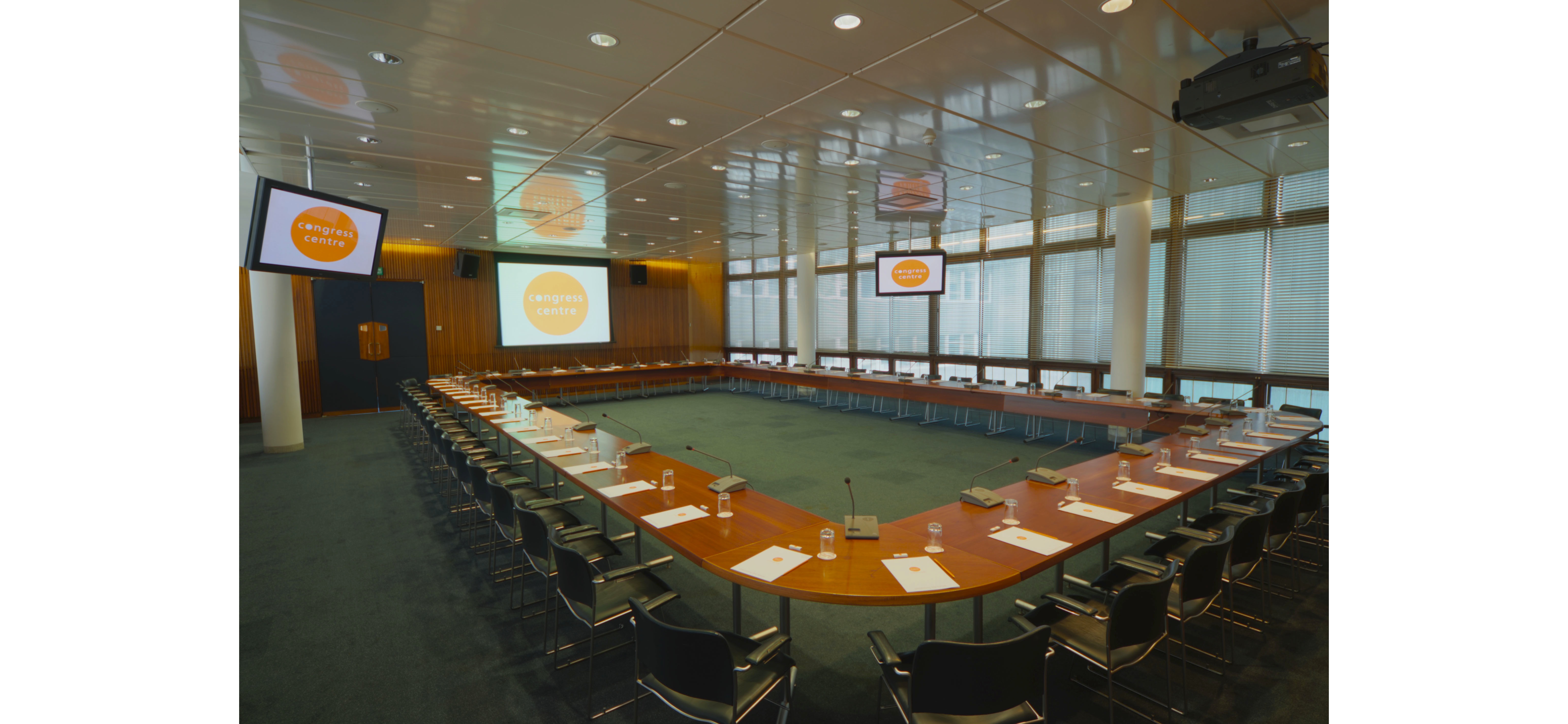 Council Chamber - ubmb3pt4nuj.jpg