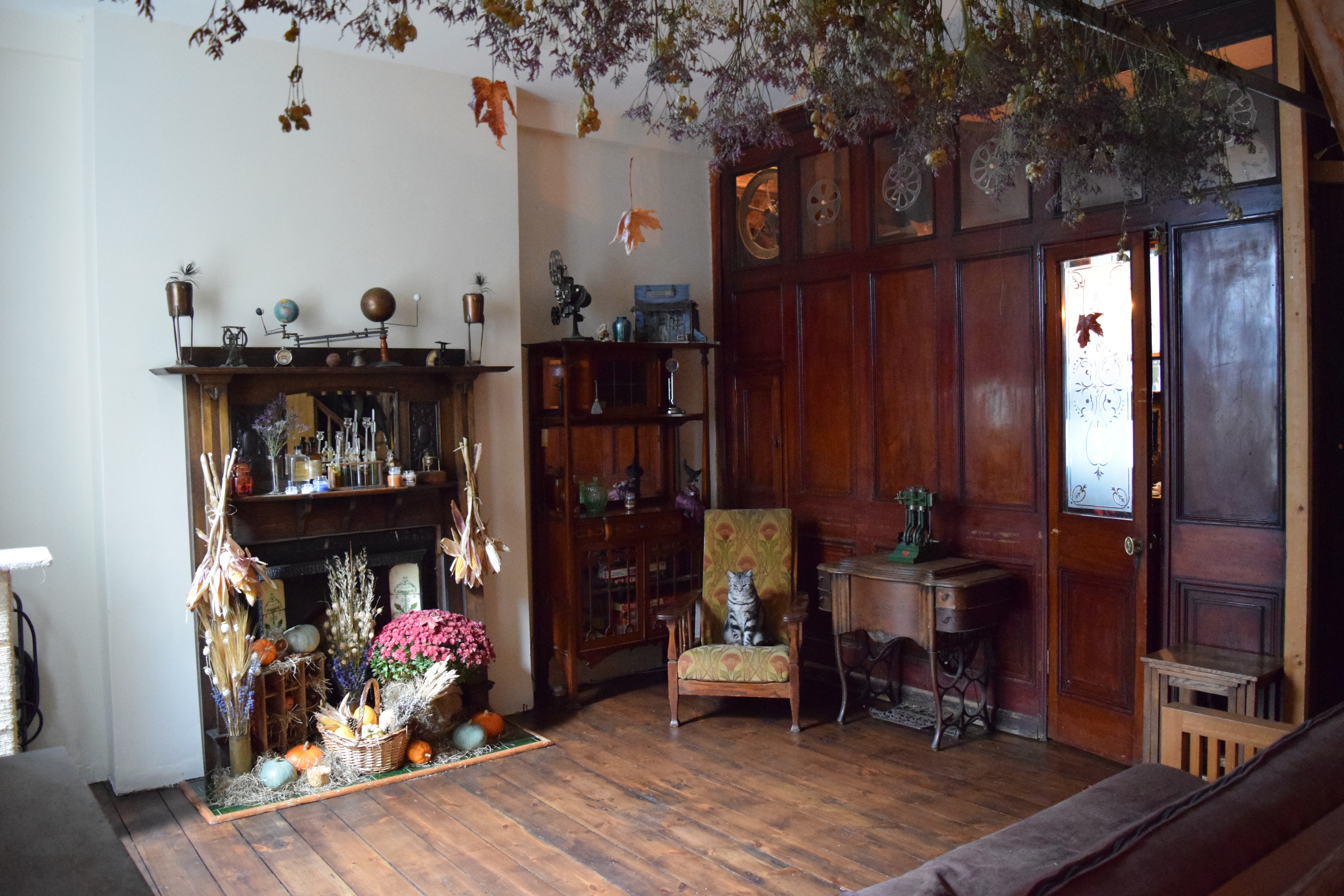 Shop - p4y151kqs42.JPG