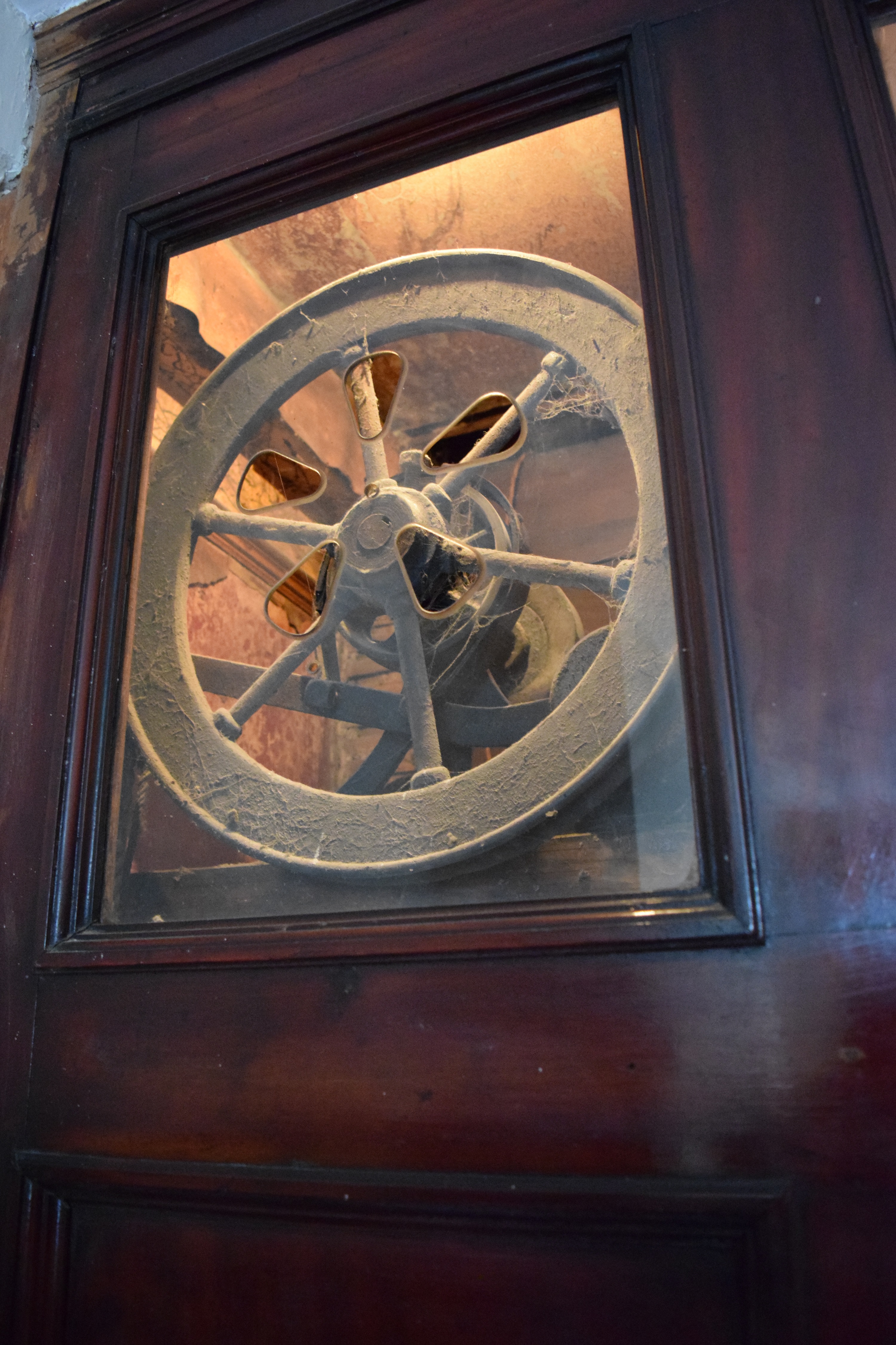 Shop - pefgrw4awsm.JPG