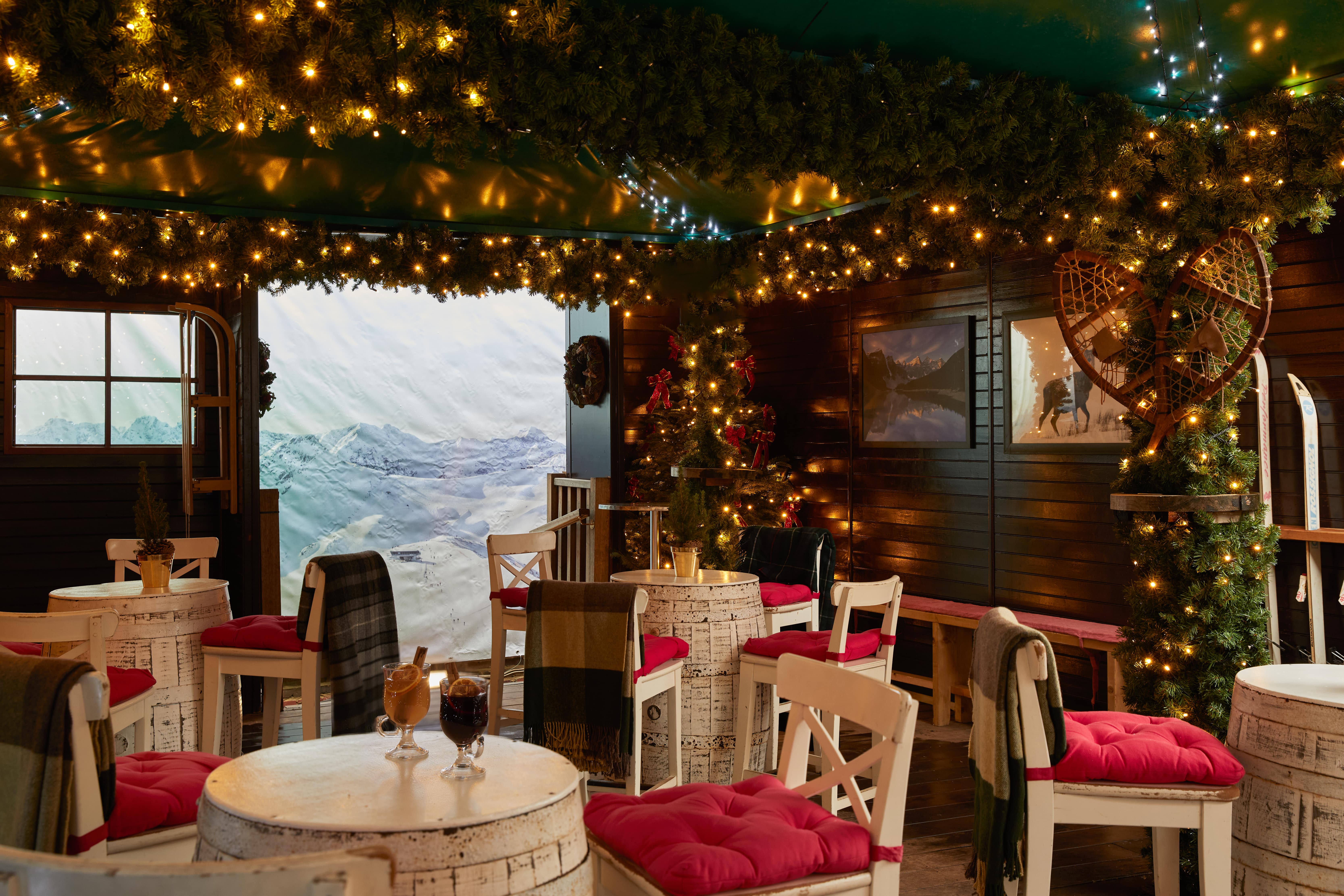 The Ski Lodge - jnzyvz15uro.jpg