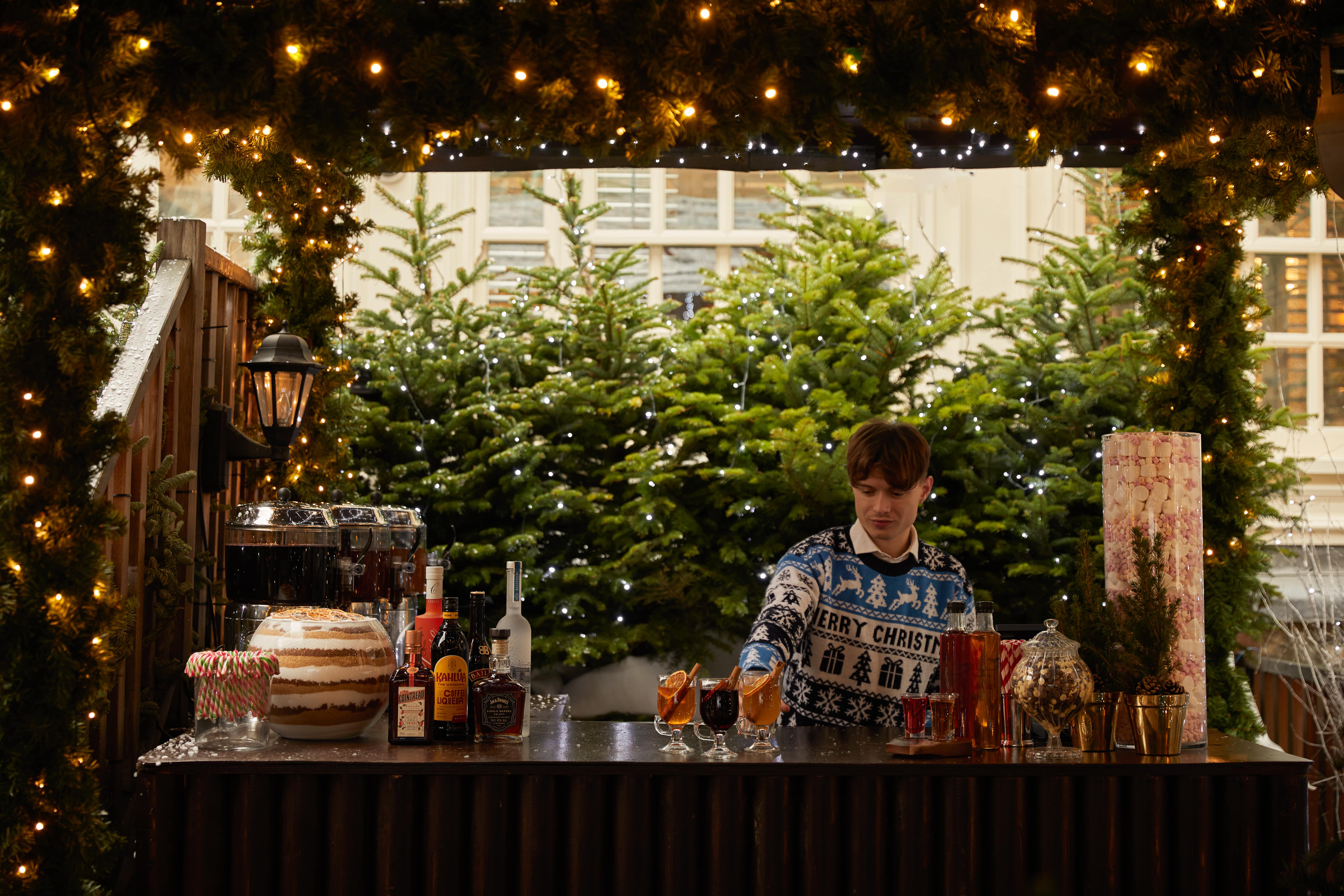 The Ski Lodge - qgb0wojdpg4.jpg