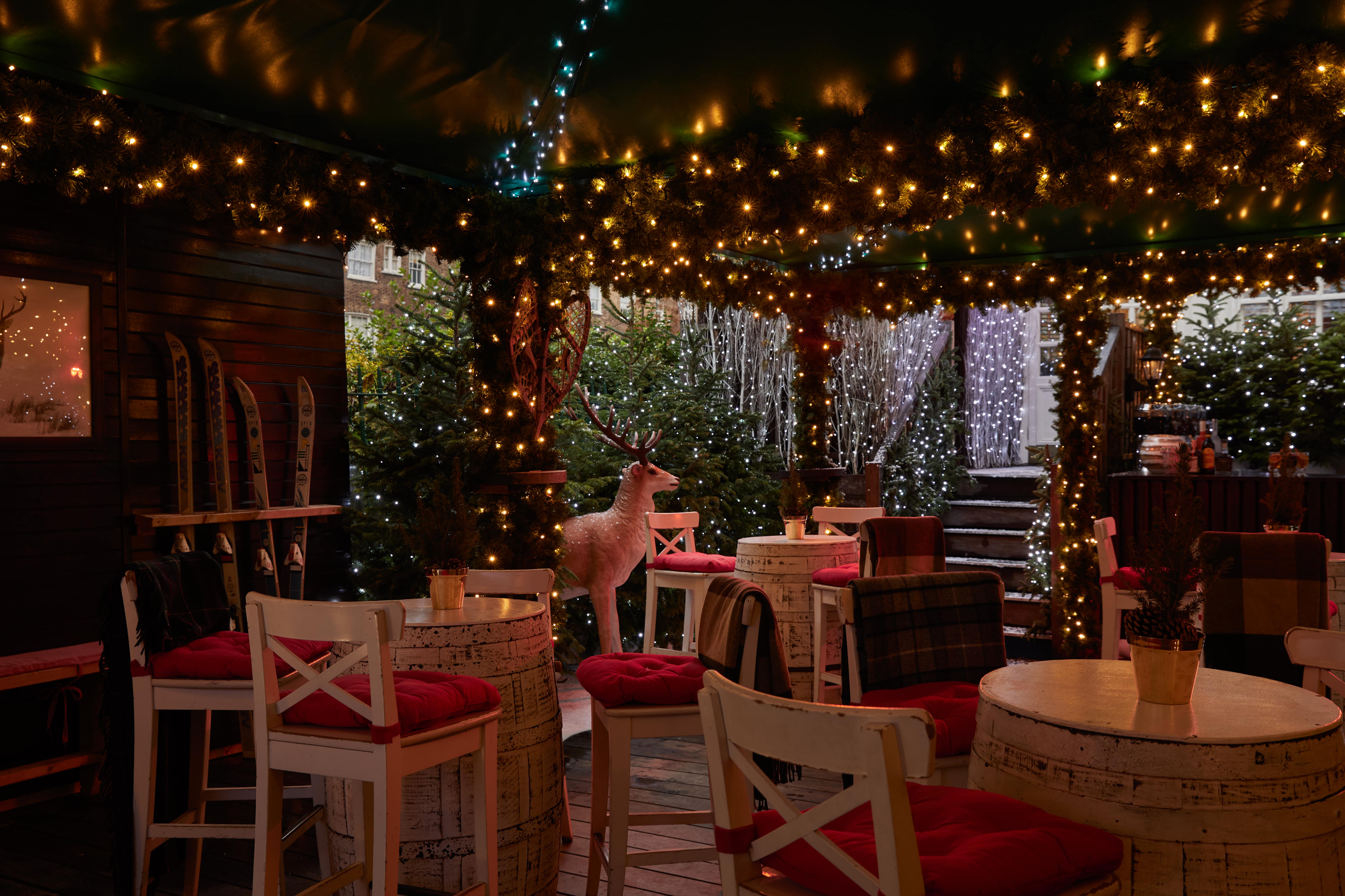 The Ski Lodge - sajjrz5a0ms.jpg