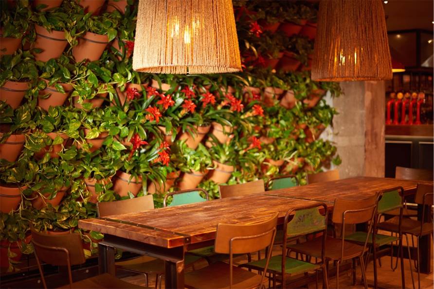Vibrant meeting space with wooden table and green wall, ideal for events and gatherings.