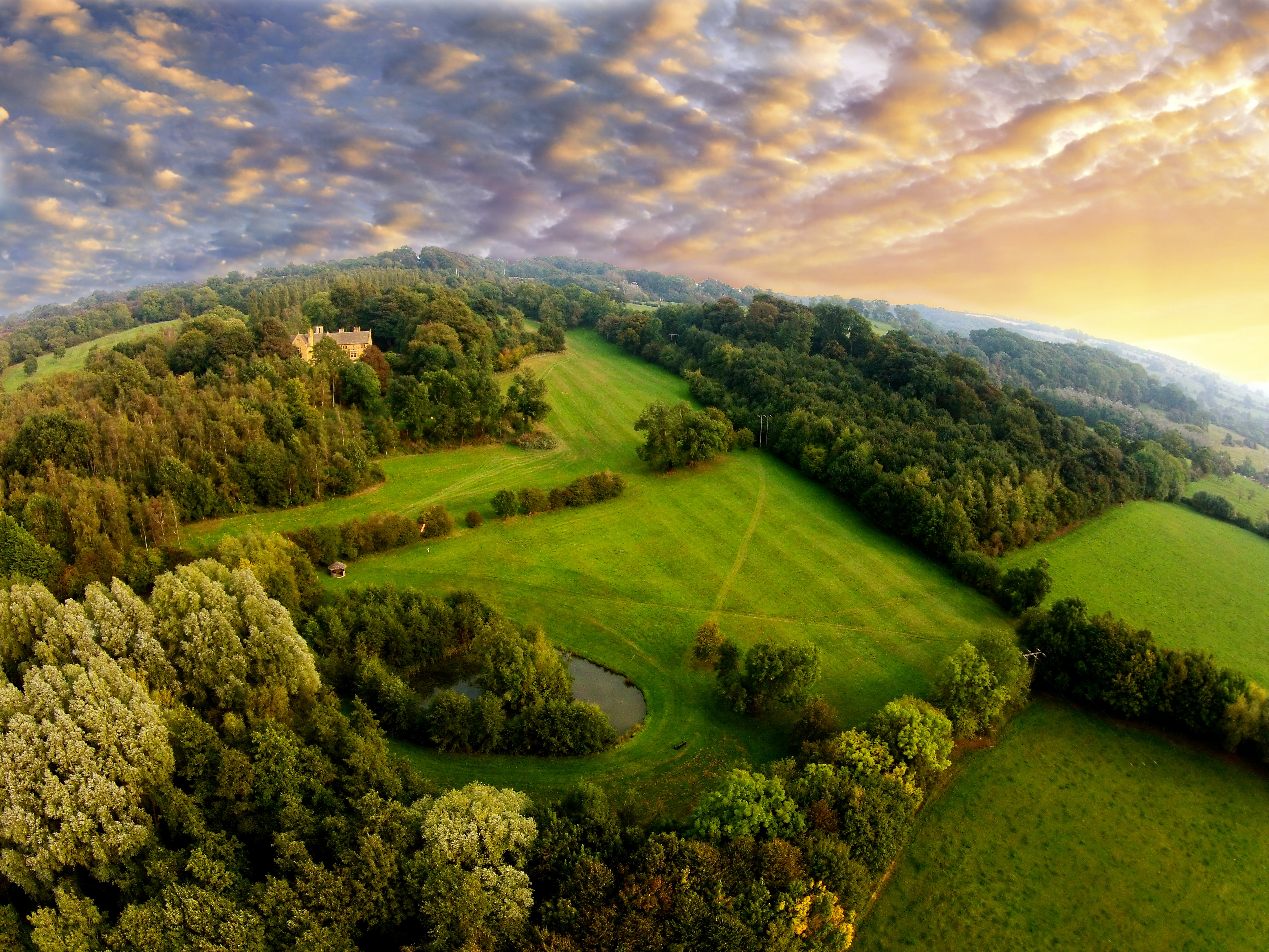 Whole Venue - x2wiacbqmzc.jpg