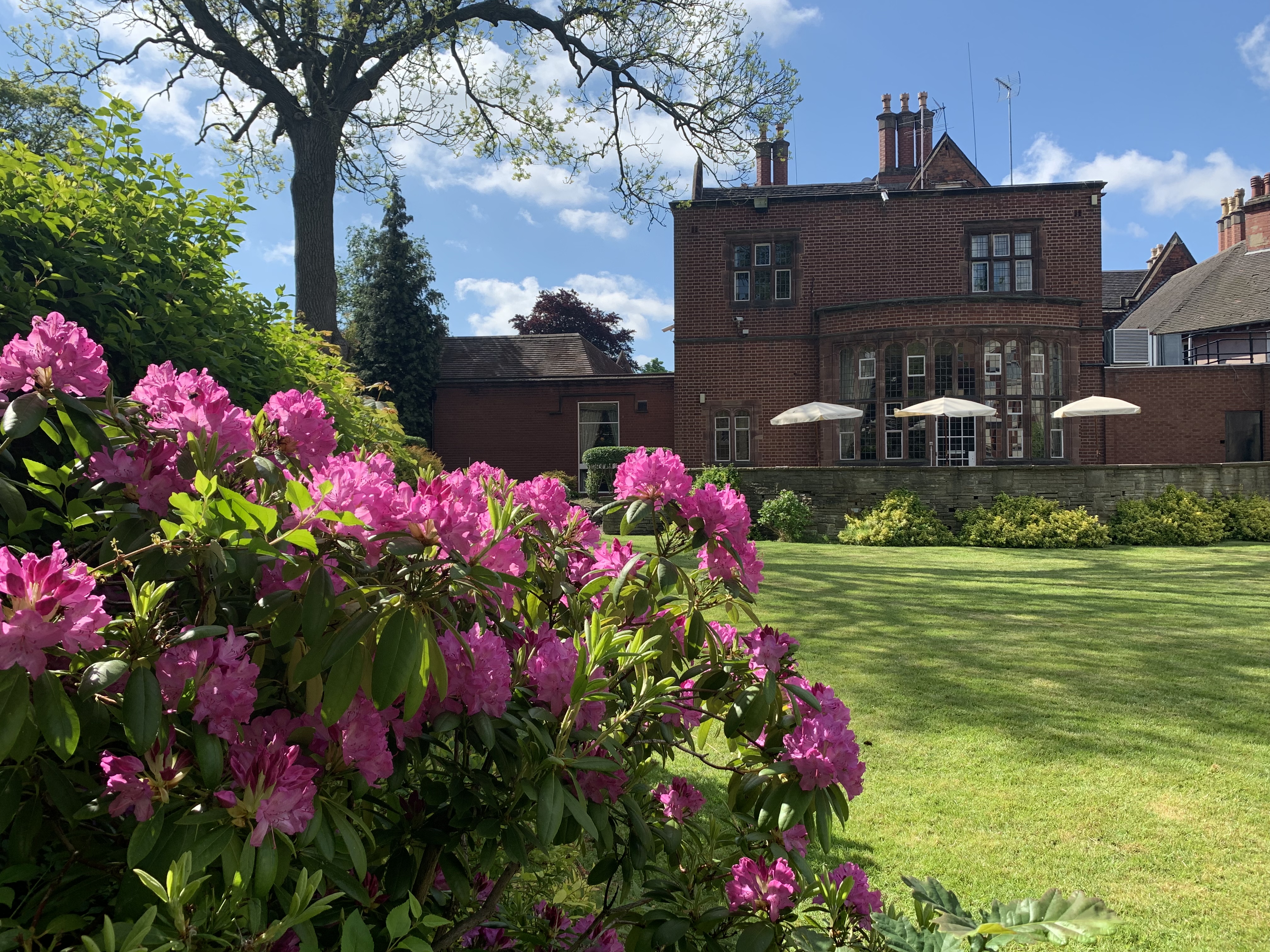 Terrace Room - b3zwlehziuz.jpg