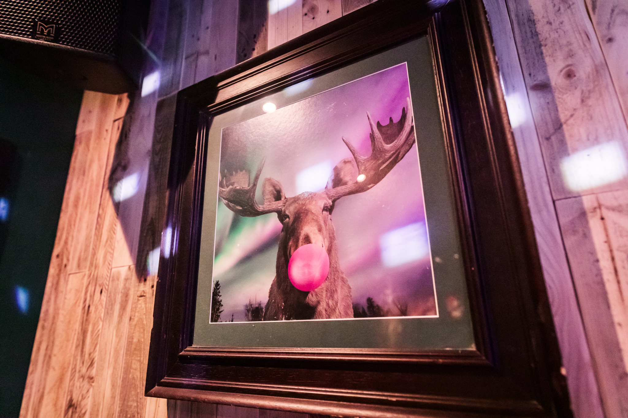 Moose artwork in Nordic Bar's games room, perfect for fun events and gatherings.